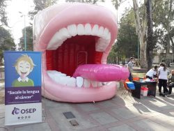 osep boca inflable