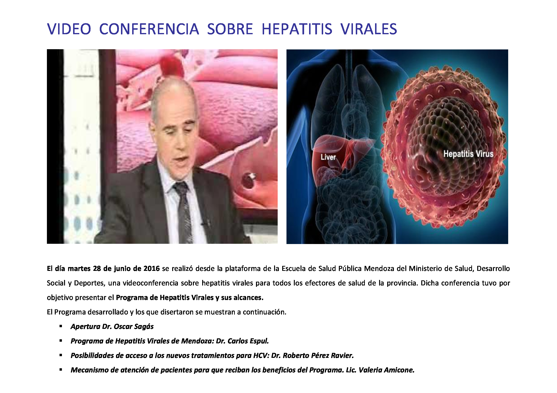 Video-conferencia-Hepatitis-Virales7_1