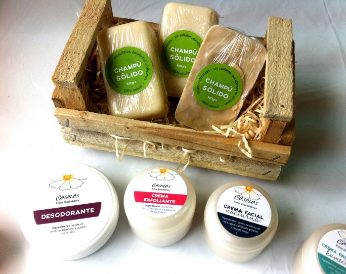 Shampoo Solido Natural / en barra Catálogo