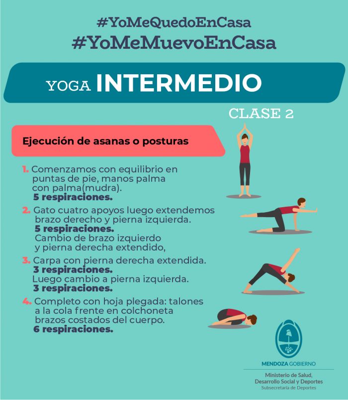 7 TIPOS DE POSTURAS DE YOGA Y SUS BENEFICIOS — Danny Campos Yoga