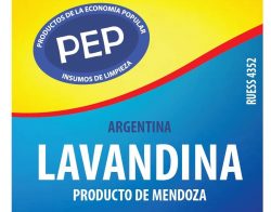 lavandina economía social