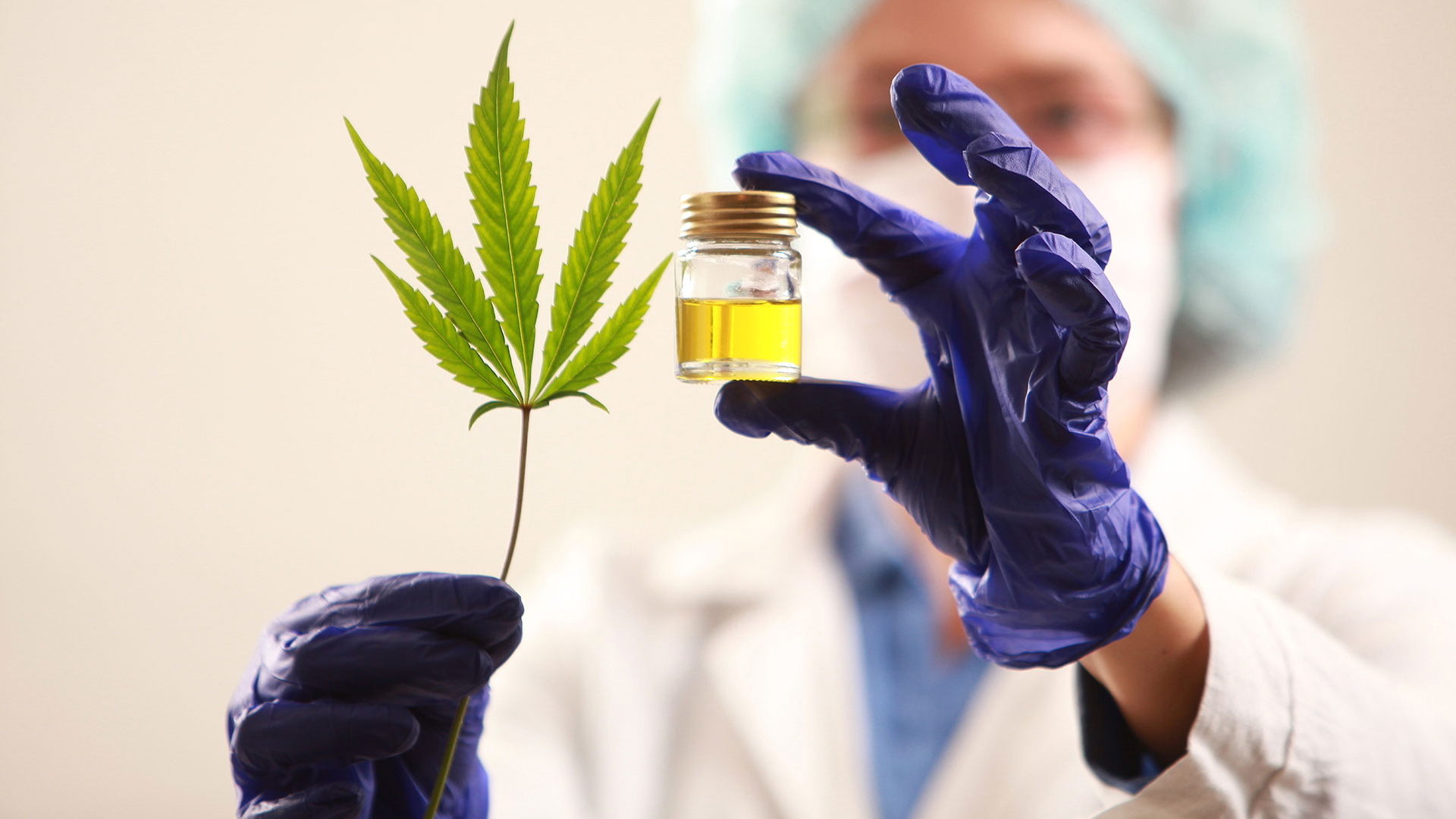 La legalización del cannabis para uso medicinal e industrial logra