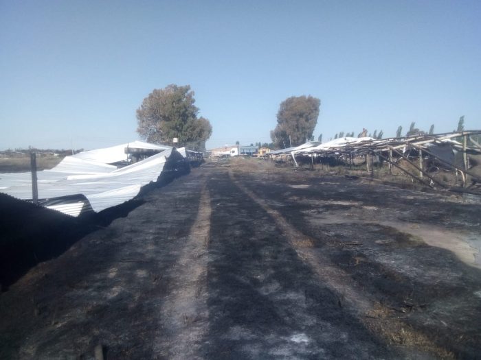 Brigadistas combaten un incendio en una finca en San Rafael