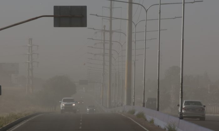 Por el Zonda Defensa Civil realizó más de 200 intervenciones en Mendoza