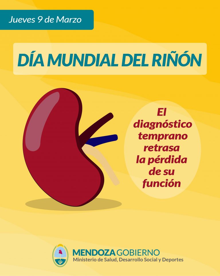 Día Mundial del Riñón: el diagnóstico temprano retrasa la pérdida de su ...