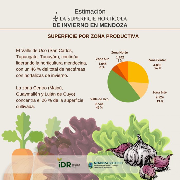 La superficie sembrada con hortalizas de invierno creció un 8,4%