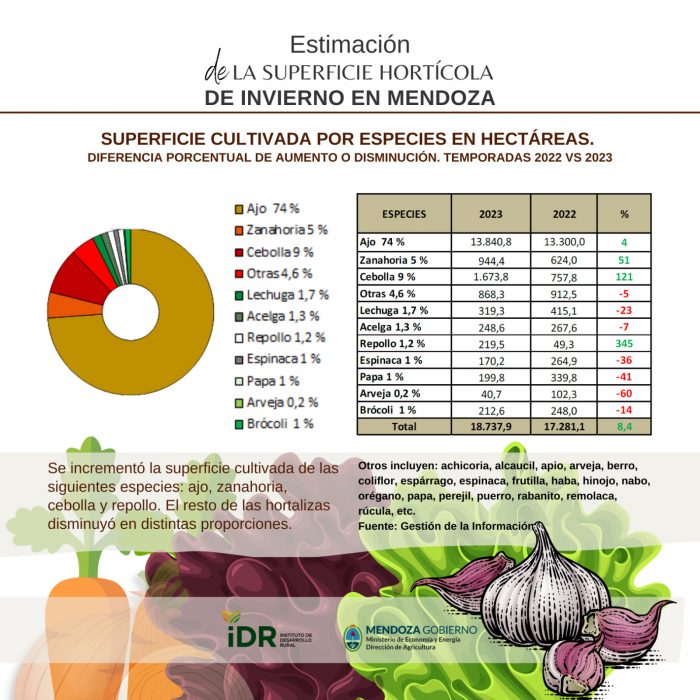 La superficie sembrada con hortalizas de invierno creció un 8,4%