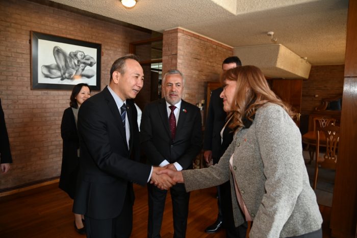 Mendoza y China acuerdan complementar sus industrias para fortalecer el crecimiento energético, minero y vitivinícola