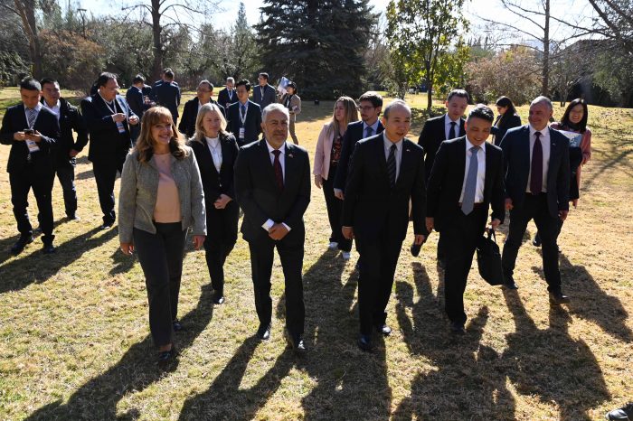 Mendoza y China acuerdan complementar sus industrias para fortalecer el crecimiento energético, minero y vitivinícola