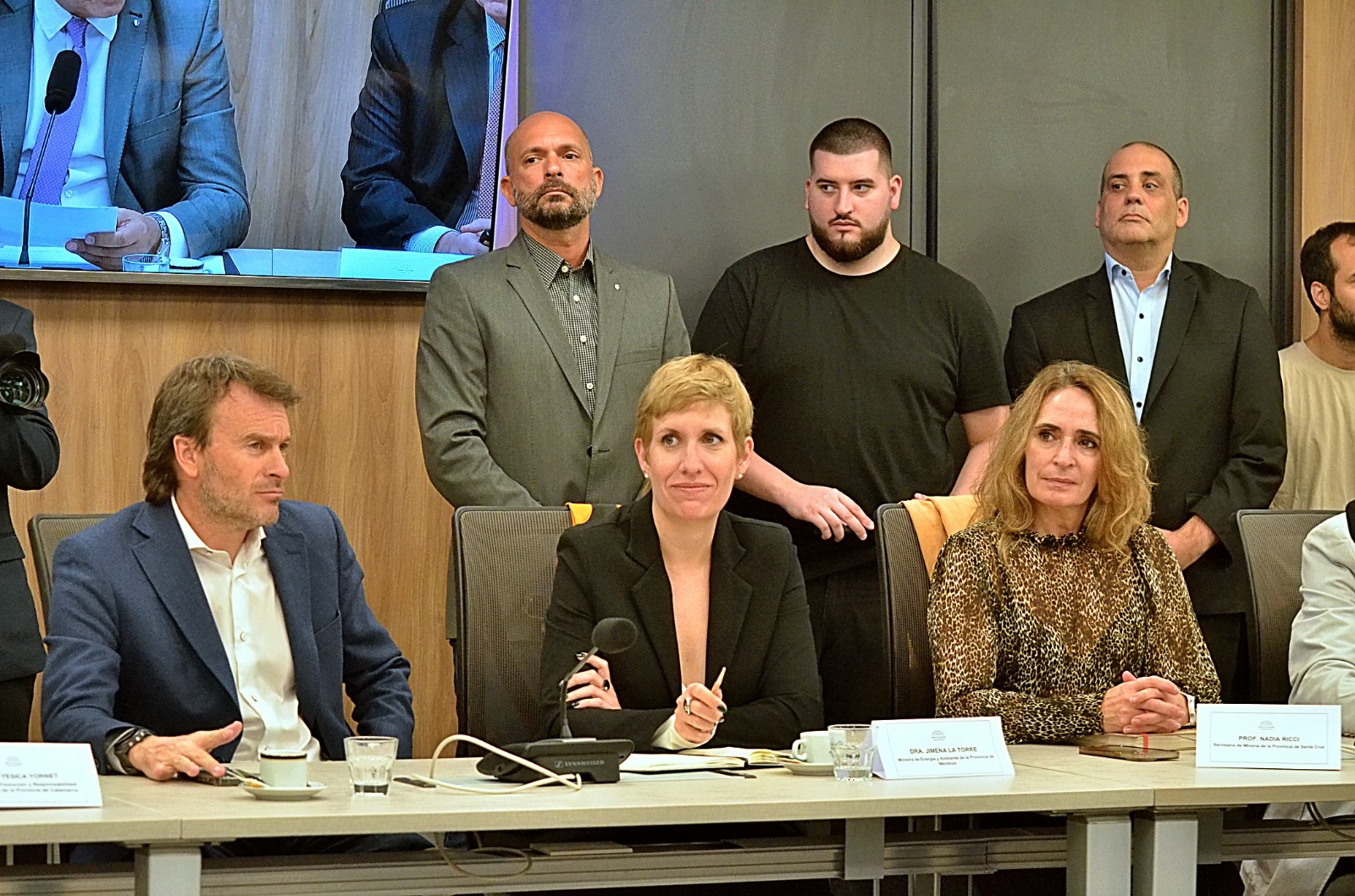 Punto por punto: este es el plan minero que Mendoza le presentó a la Nación